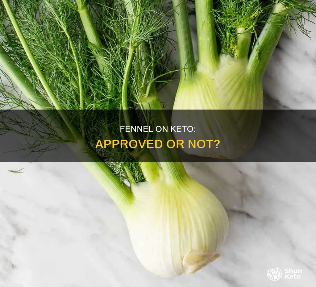 is fennel keto approved