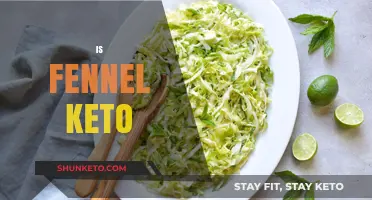 Is Fennel Keto-Friendly? Exploring Its Low-Carb Benefits and Uses