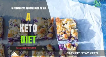 Fermented Blueberries on Keto: Are They a Low-Carb Friendly Option?