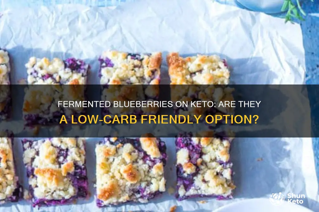 is fermented blueberries ok on a keto diet