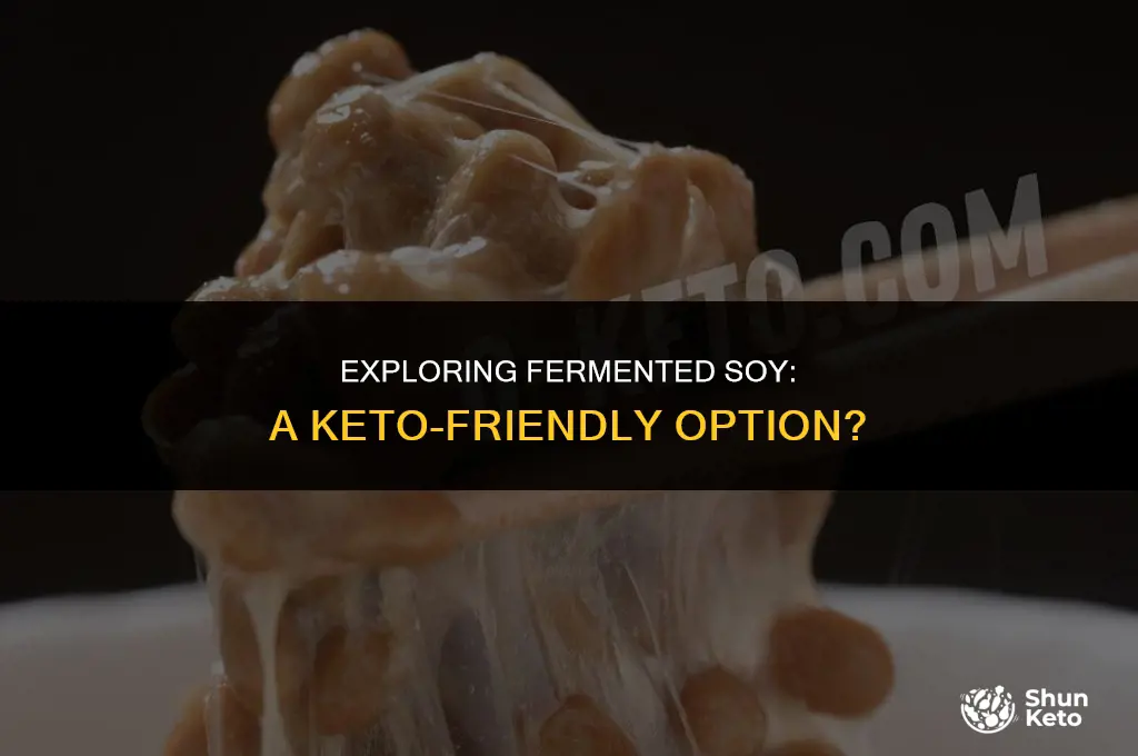 is fermented soy keto friendly