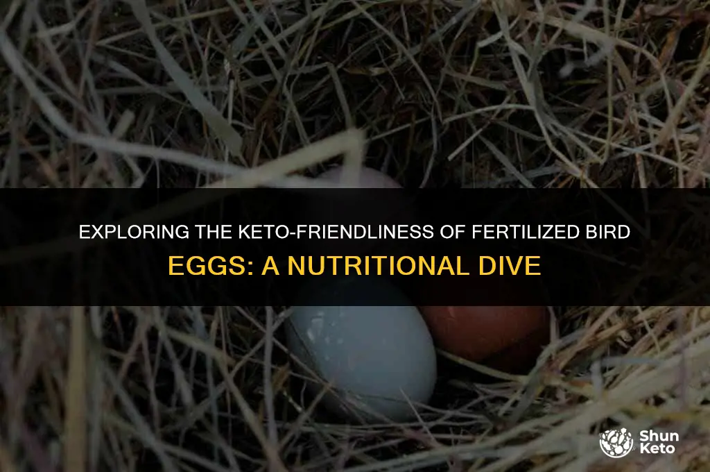 is fertilised bird egg keto friendly