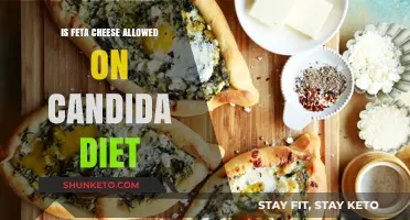 Feta Cheese and Candida Diet: What's Allowed?