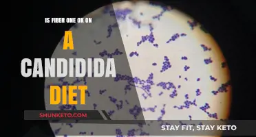 Fiber One and Candida Diet: What You Need to Know