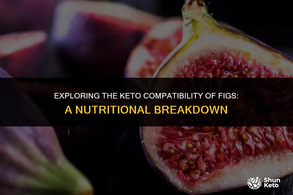 is fig keto