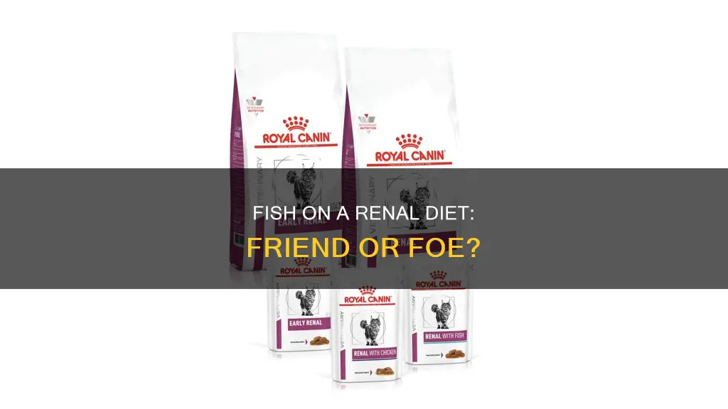 is fish ok on renal diet