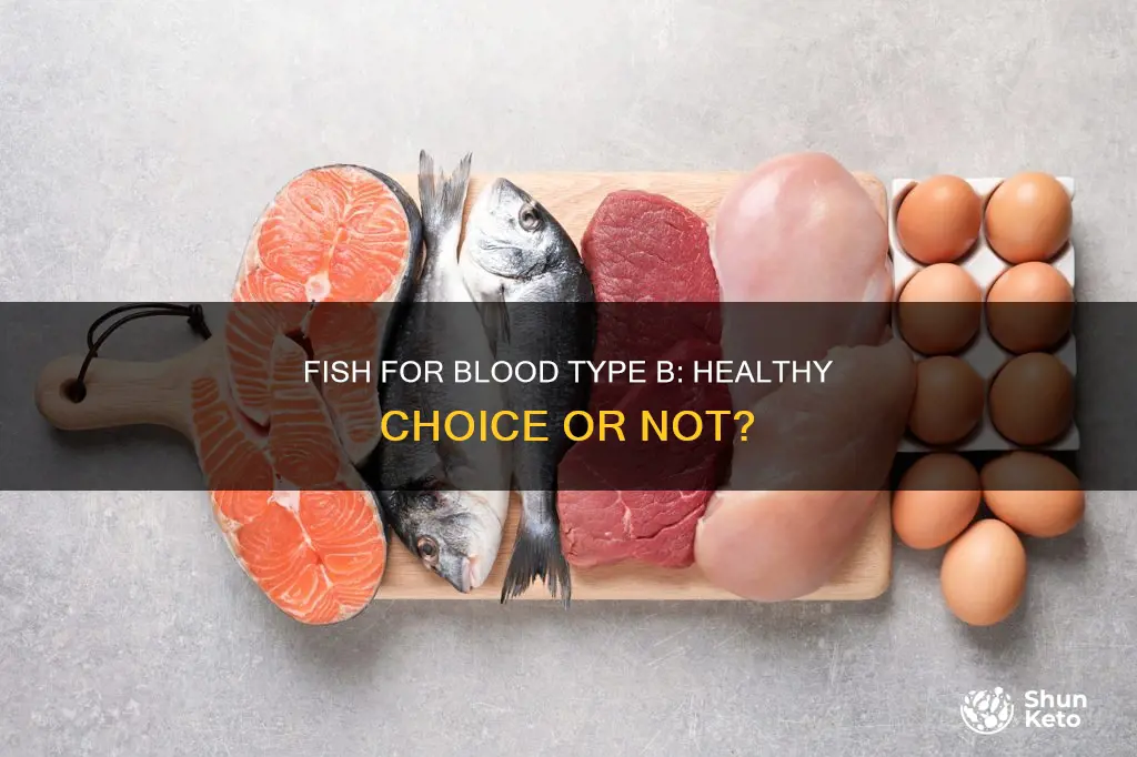 is fish okay for blood b type diet