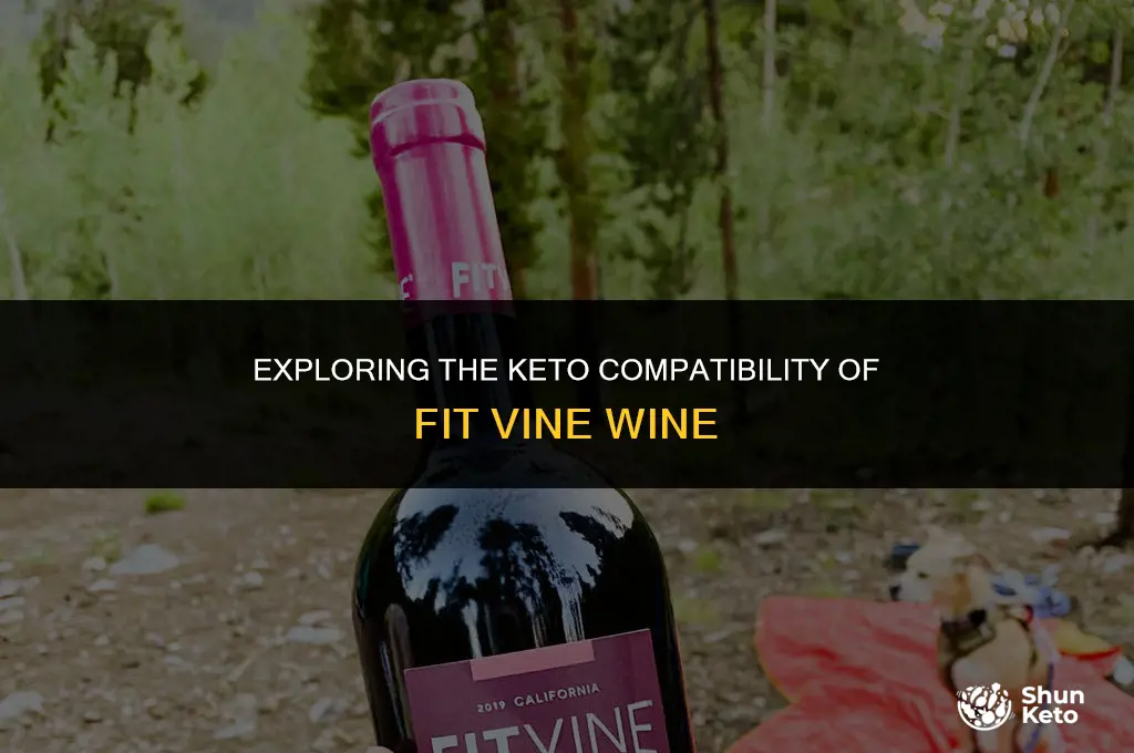is fit vine wine keto friendly