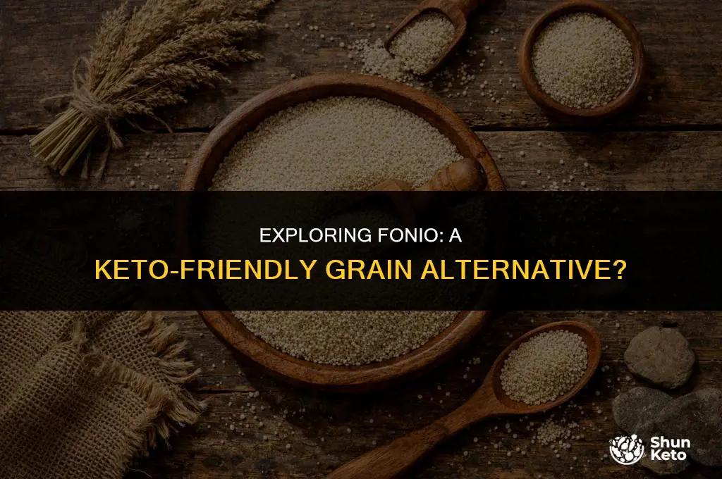 is fonio keto compliant