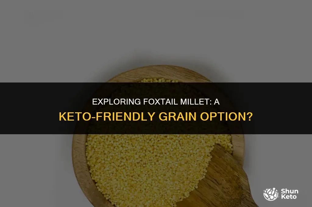 is foxtail millet keto friendly