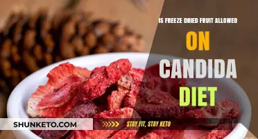 Freeze-Dried Fruits: Safe Snacking on Candida Diet?