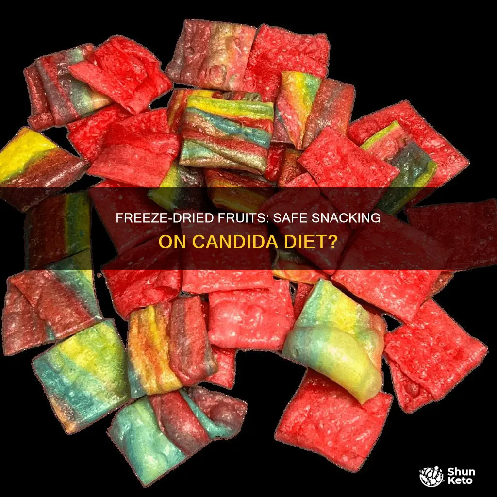 is freeze dried fruit allowed on candida diet