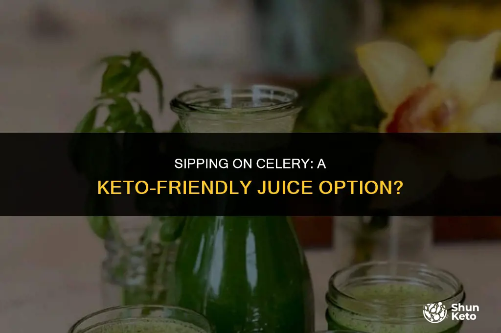 is fresh celery juice keto friendly