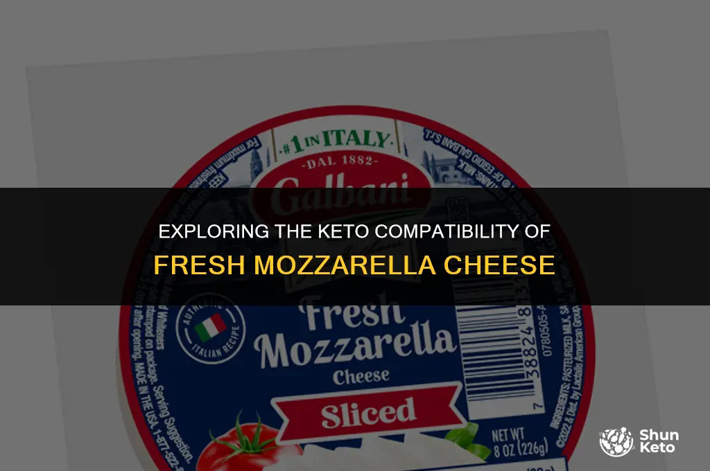 is fresh mozzarella cheese keto friendly