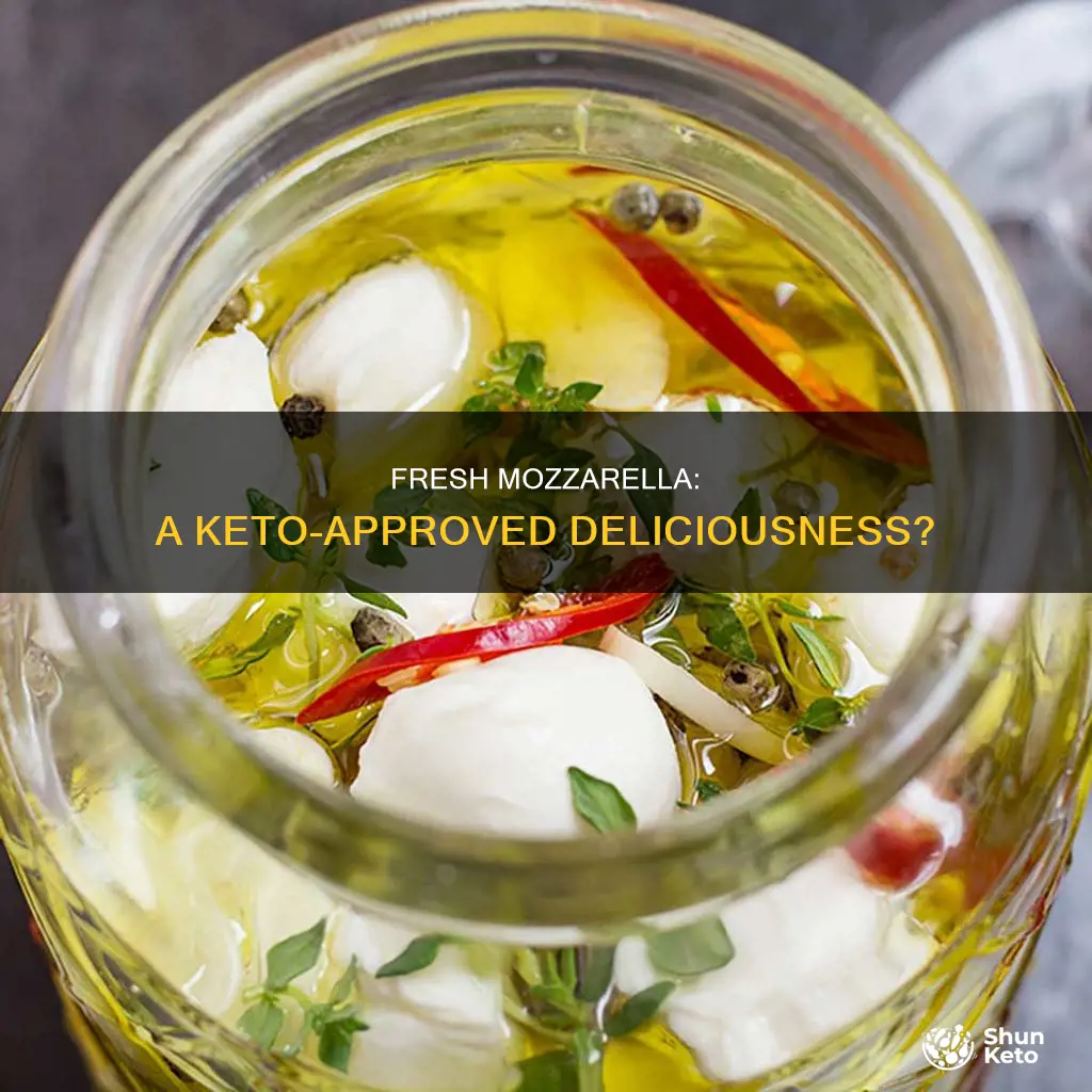 is fresh mozzarella keto approved