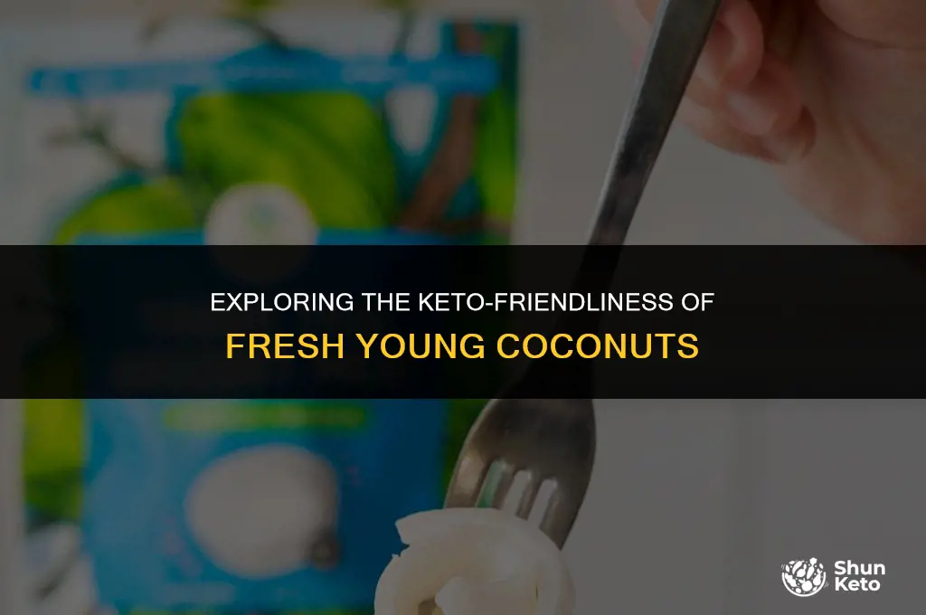 is fresh young coconut keto friendly