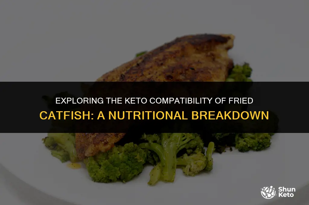 is fried catfish keto friendly