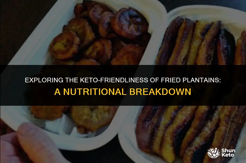 is fried plantain keto friendly
