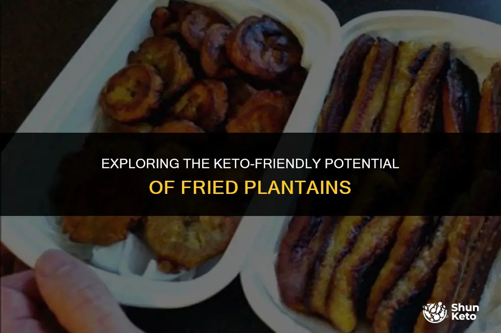 is fried plantain keto