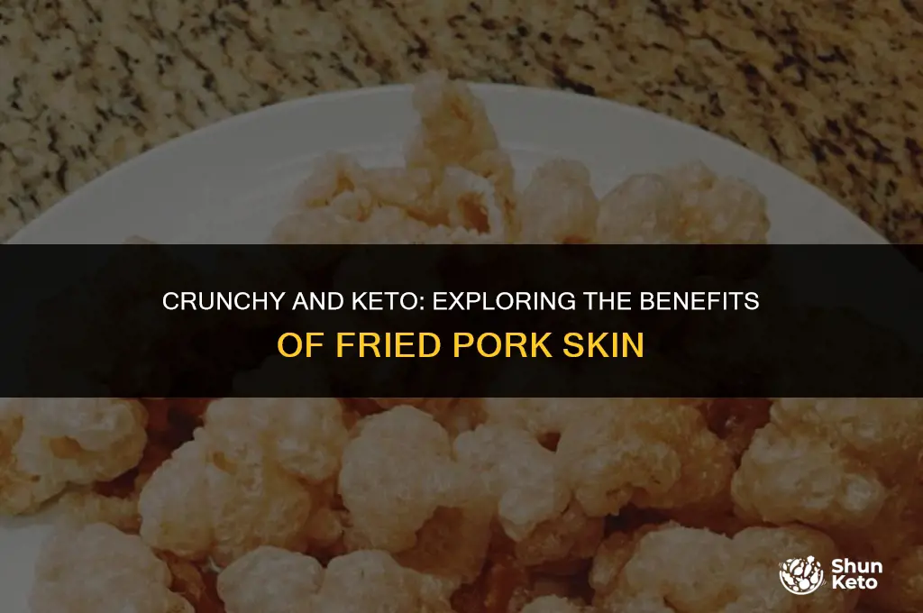 is fried pork skin keto