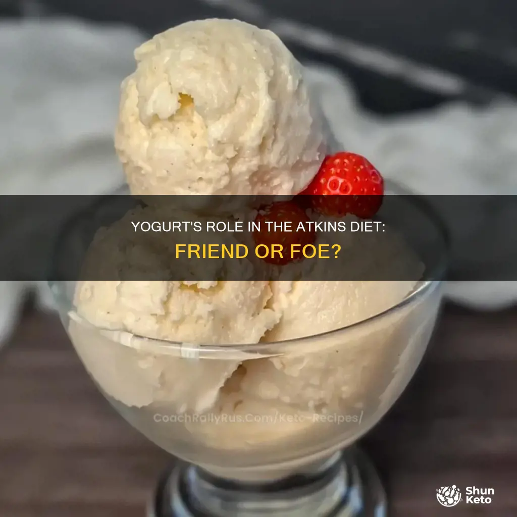 is frozen yogurt allowed on atkins diet