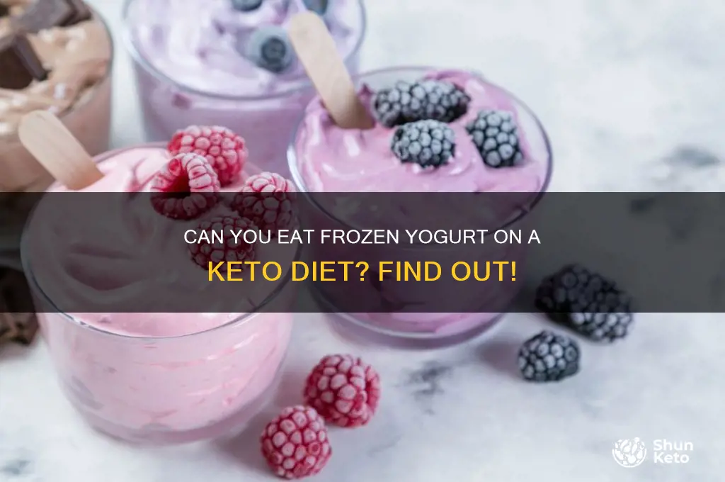 is frozen yogurt allowed on keto diet