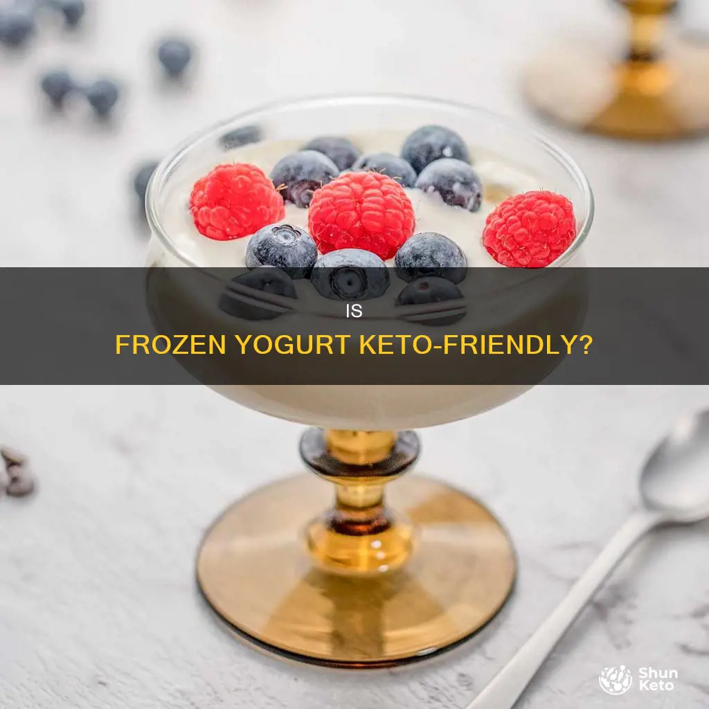 is frozen yogurt keto approved