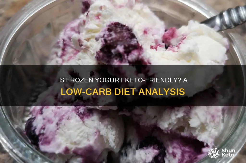 Is Frozen Yogurt Keto-Friendly? A Low-Carb Diet Analysis | ShunKeto