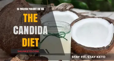 The Candida Diet: Is Frozen Yogurt a Safe Treat?