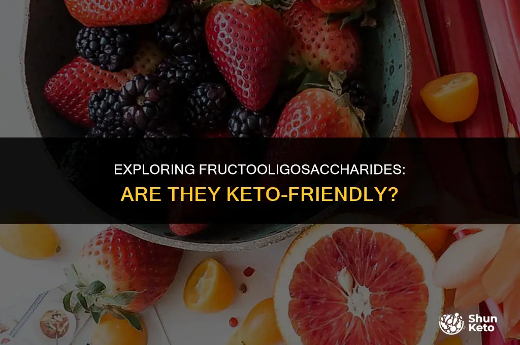 is fructooligosaccharides keto friendly