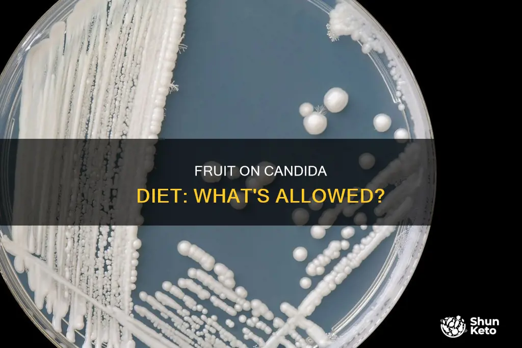 is fruit allowed on candida diet