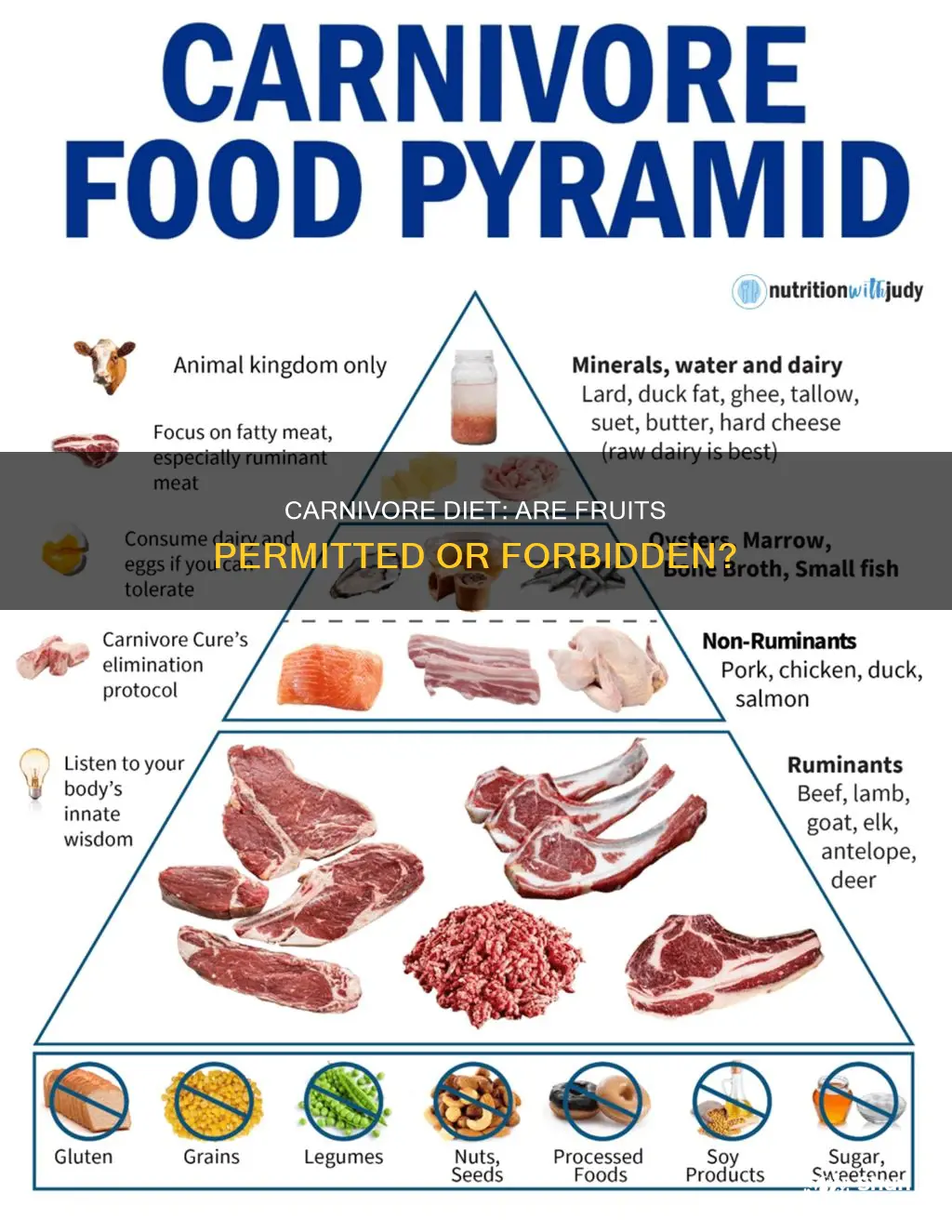 is fruit allowed on carnivore diet