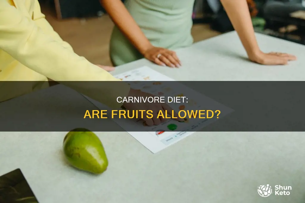 is fruit ok on carnivore diet