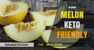 Exploring the Keto Compatibility of Galia Melon: A Nutritional Insight