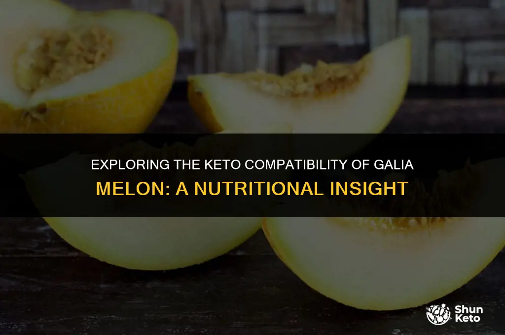 is galia melon keto friendly