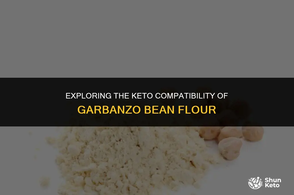 is garbanzo bean flour keto friendly