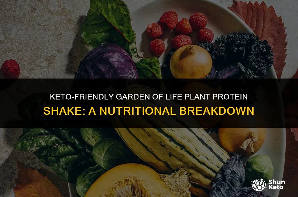 is garden of life plant protein shake keto friendly