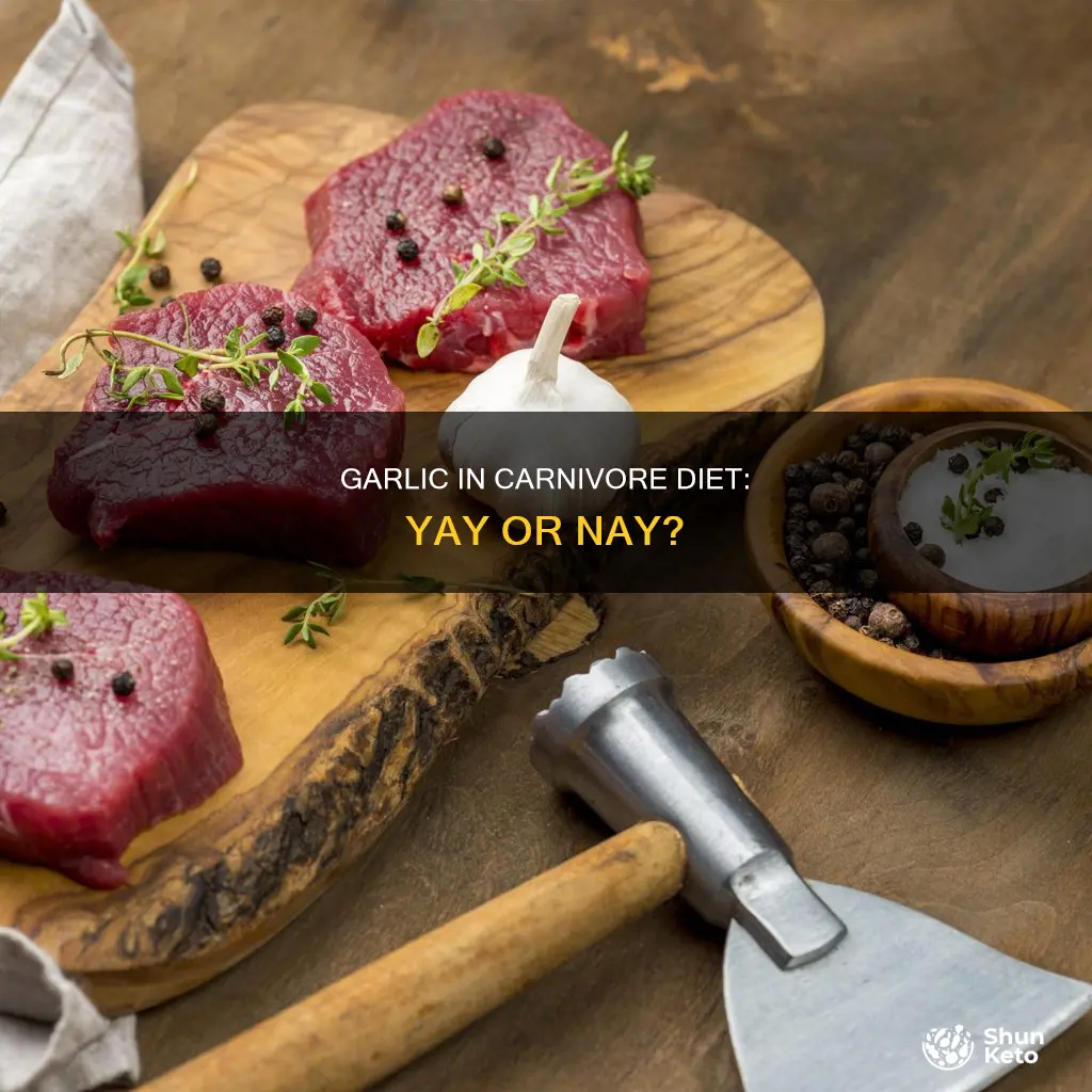 is garlic allowed on carnivore diet