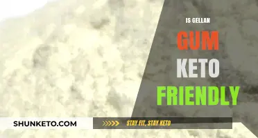 Exploring Gellan Gum: A Keto-Friendly Thickener Alternative