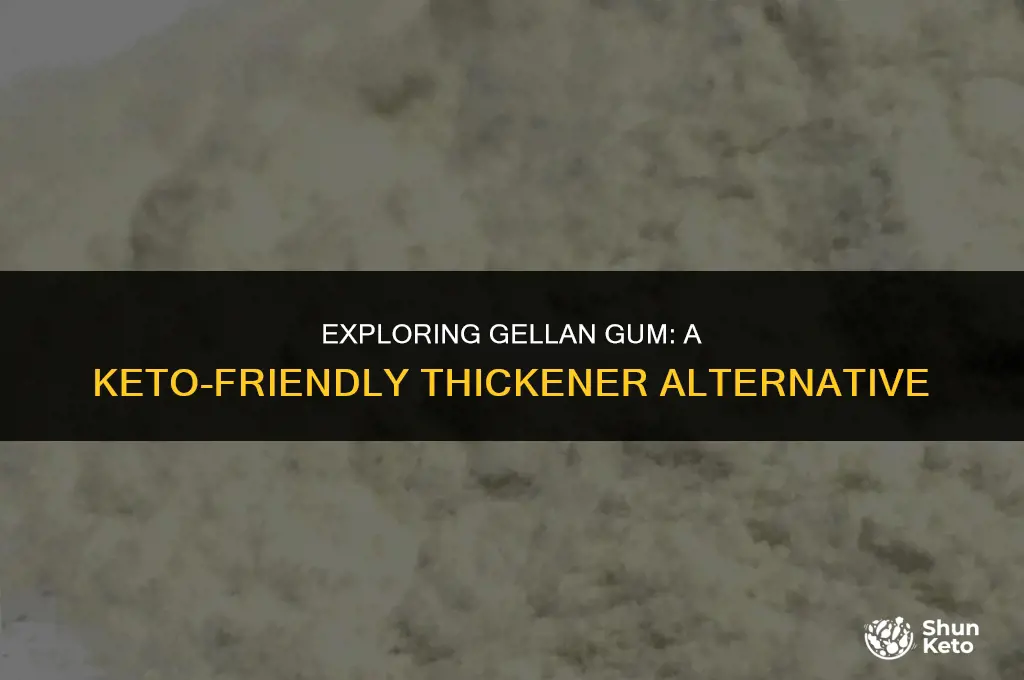 is gellan gum keto friendly