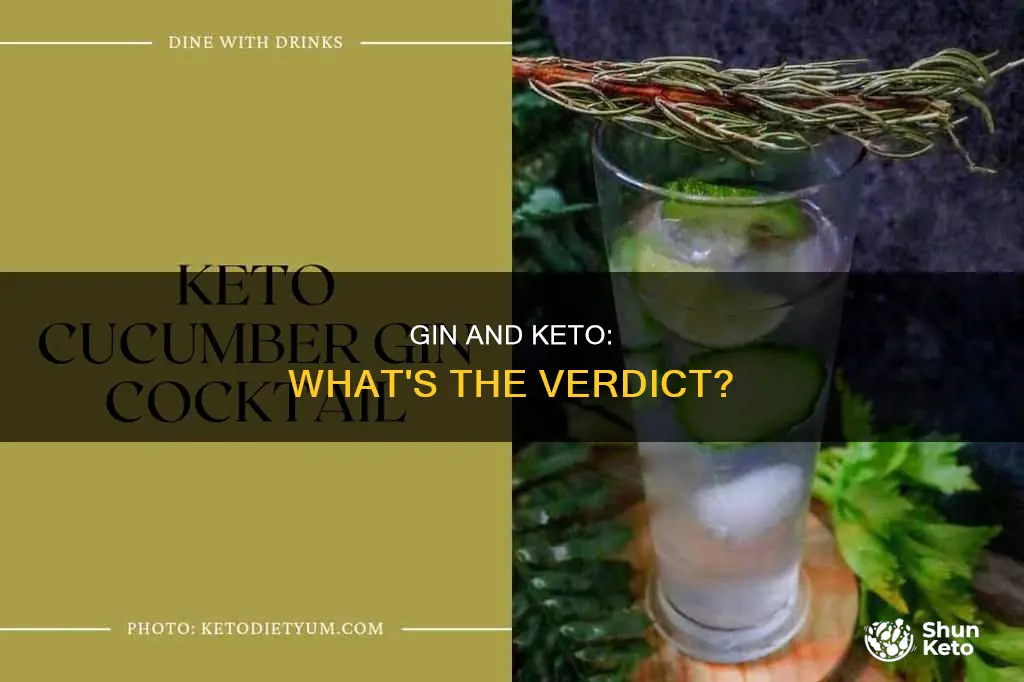 is gin allowed on keto