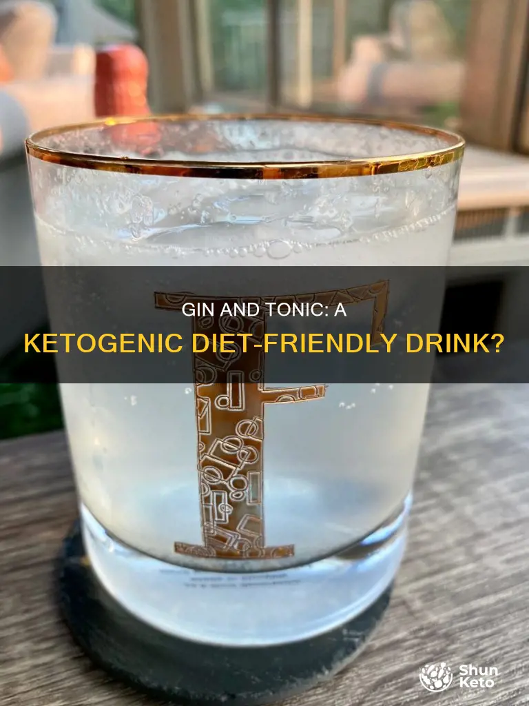 is gin and tonic on ketogenic diet