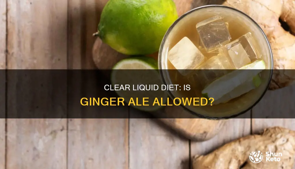 is gingeale allowed in a clear liquid diet