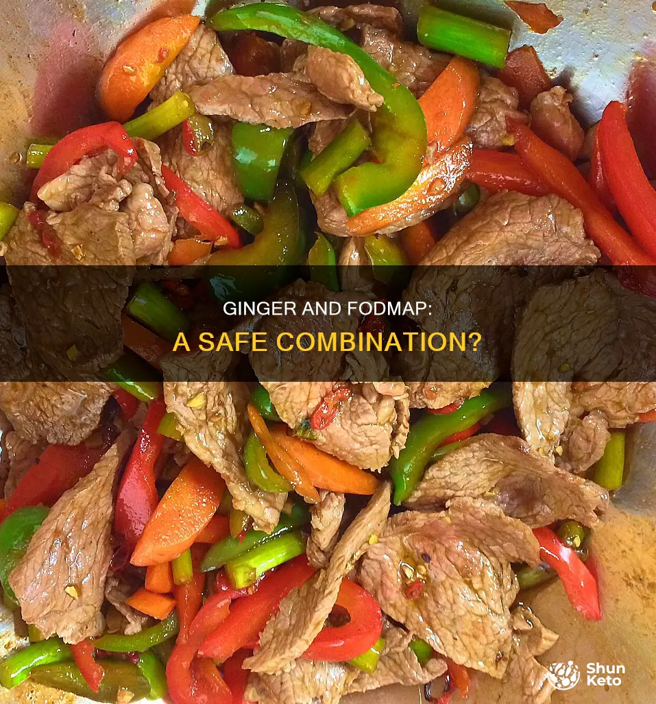 is ginger ok on fodmap diet