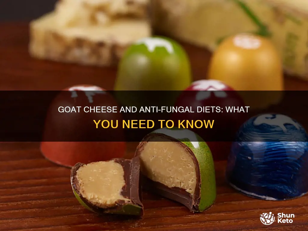 is goat cheese ok for fungal diet