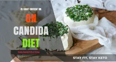 Goat Cheese and Candida Diet: What's the Verdict?