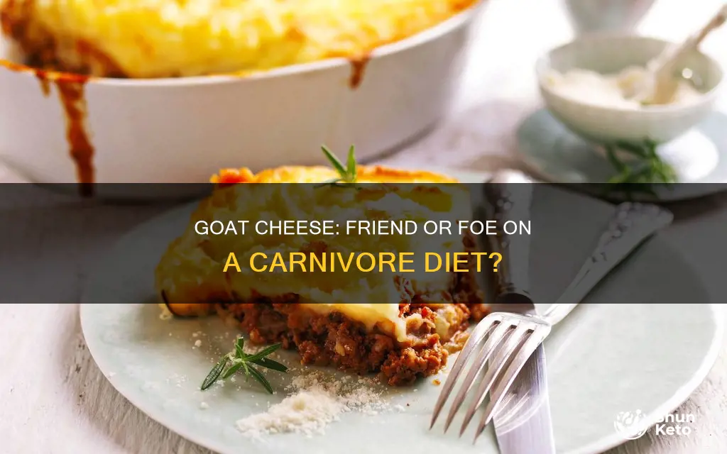 is goat cheese ok on carnivore diet
