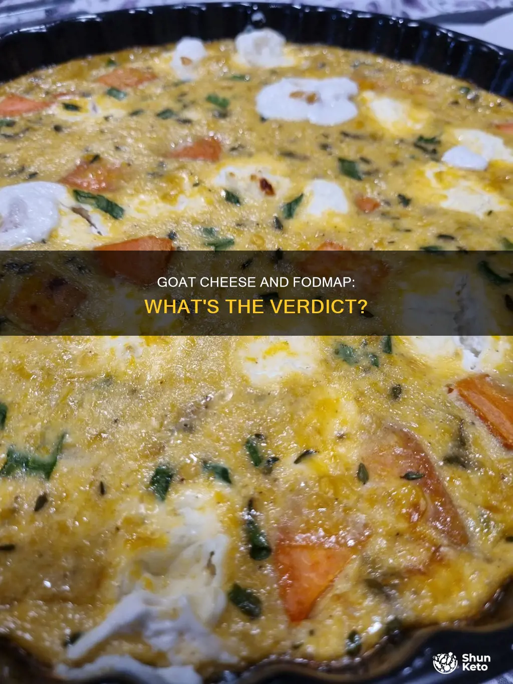 is goat cheese ok on fodmap diet