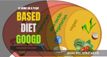 Plant-Based Diets: Healthy Choice or Health Risk?