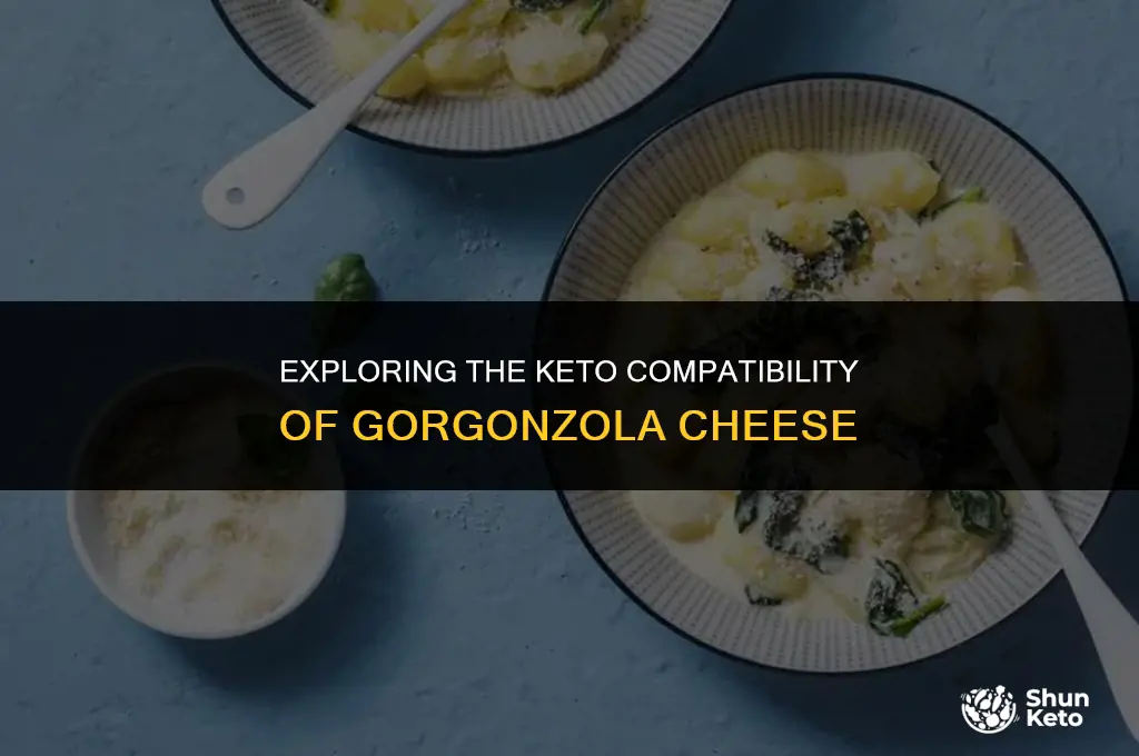 is gorgonzola cheese keto friendly